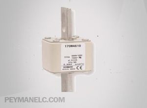 فیوز فست باسمن F U 170M4058-170M4169