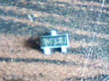 wes-56
