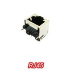 سوکت مادگی شبکه رایت RJ45 کوتاه