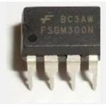 FSGM300N