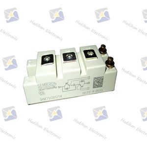 Semikron IGBT SKM75GB12T4