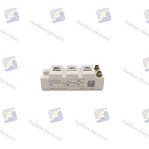 Semikron IGBT SKM100GB12T4