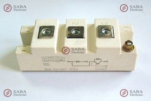 SKM100GAY173D