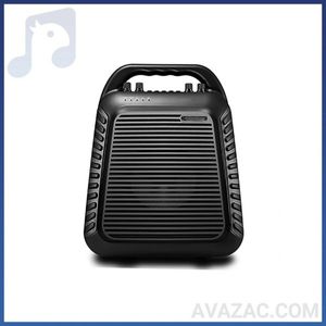 اکوهمراه اکوچنگ مدل TWIN