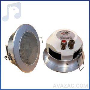 اسپیکر سقفی فونیکس های فای PHOENIX HIFI-PH20