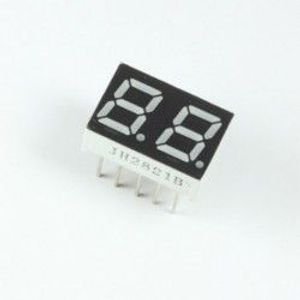 7SEG 2DIGIT A-R-MULT