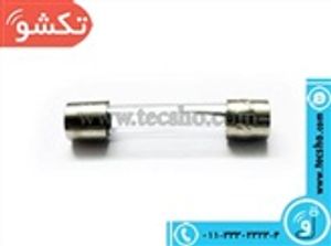 FUSE 0.3A SIZE  6*30 mm