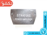 STK 4026 II