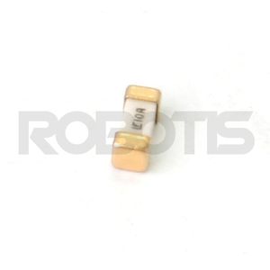 Little Fuse 125V 10A LFU-10