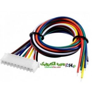 کانکتور مادگی سیم دار XH-10P (دزدگیری)