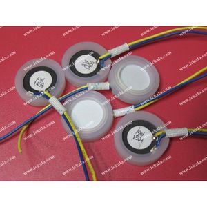 PIZZO20mm